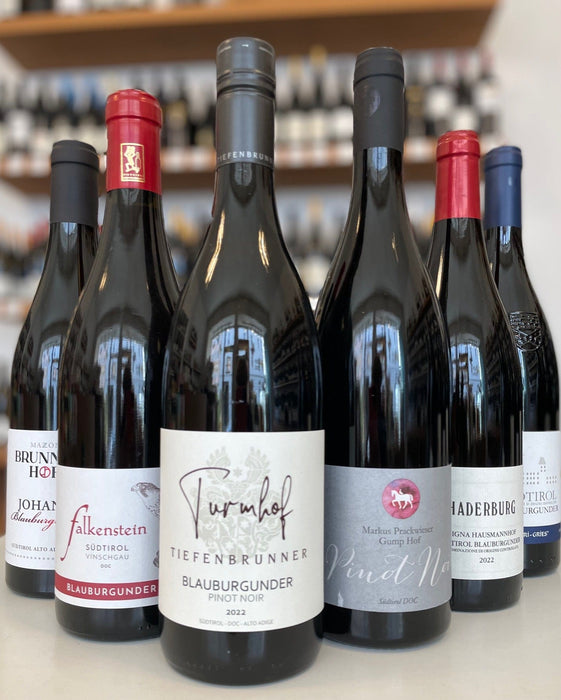 Probierpaket Blauburgunder mit 6 verschiedenen Blauburgundern zum Probierpreis